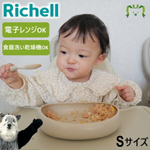 gC ₷v[g S b`F Richell xr[ H vX`bN M Ԃ 킢