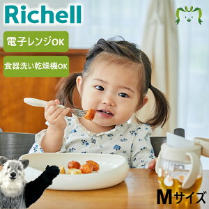 gC ₷v[g M b`F Richell xr[ H vX`bN Ԃ M 킢