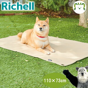 }[N^X }`V[g 110-70b`F Richell Lv V[g }bg  AEghA pi ybg  U