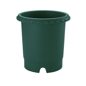 o 8b`F Richell  v^[ A K[fjO