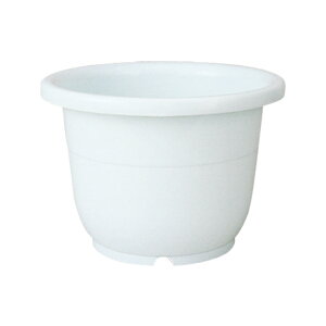 ֔ 10b`F Richell  v^[ A K[fjO