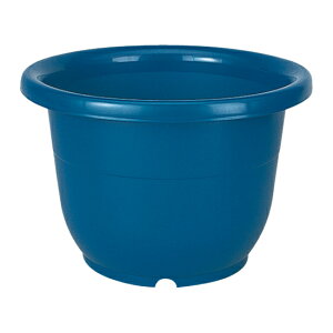 ֔ 15b`F Richell  v^[ A K[fjO