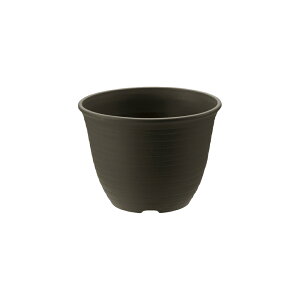 GR |bg 5b`F a15×11cm e1L K[fjO |  Jo[ Aؔ  v^[ vX`bN ی` ~`