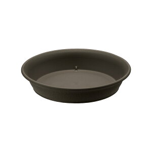 GR v[g 8b`F a24.6×4.6cm v^[v[g M M K[fjO | ی` ~` \[T[ gC  GR |bgEnC|bgp