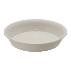 GR v[g 10b`F a30.6×5.3cm v^[v[g M M K[fjO | ی` ~` \[T[ gC  GR |bgEnC|bgp