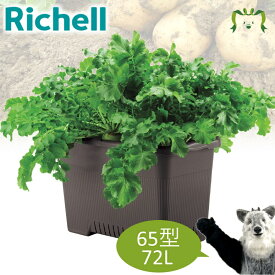 菜園上手 ジャンボ 65型リッチェル 幅65.5×奥行き39×高さ42.5cm 容量72L ガーデニング 園芸 鉢 カバー 植木鉢 家庭菜園 プラスチック製 野菜 じゃがいも 大根 トマト キュウリ ベランダ
