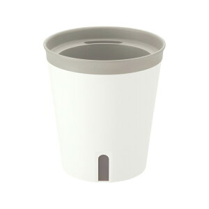 ~GmPlus |bg 15^Nb`F Richell | K[f K[fjO A  ʋ v^[   Xbg O vX`bN