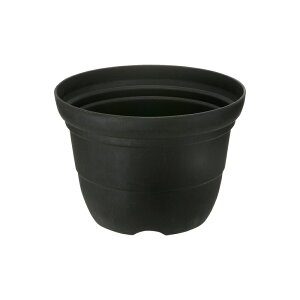 Vt@[ |bg 7b`F Richell | K[f K[fjO A    oCI}XSDGS vX`bN { Y