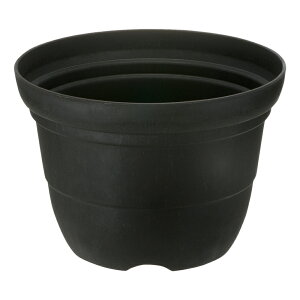 Vt@[ |bg 10b`F Richell | K[f K[fjO A    oCI}XSDGS vX`bN { Y