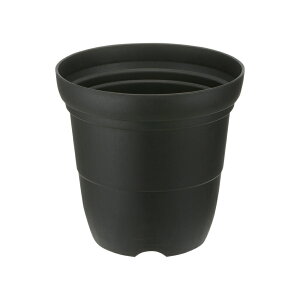 Vt@[ nC|bg 8b`F Richell | K[f K[fjO A  [ v^[   oCI}XSDGS vX`bN { Y