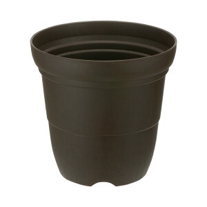 Vt@[ nC|bg 9b`F Richell | K[f K[fjO A  [ v^[   oCI}XSDGS vX`bN { Y