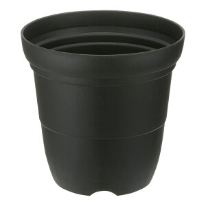 Vt@[ nC|bg 10b`F Richell | K[f K[fjO A  [ v^[   oCI}XSDGS vX`bN { Y