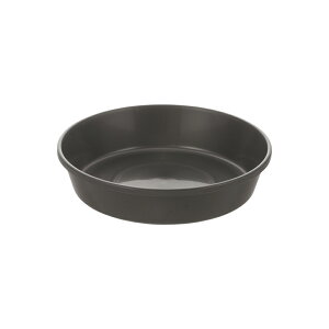 sX v[g 25^b`F a21.3×4.5cm v^[v[g M M K[fjO | ی` ~` \[T[ gC  sX |bgp