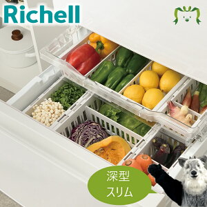 ggm ؁EⓀp LkXgbJ[[^ Xb`F 22`33.5cmŐLk\  ʕ [ e Lb`[ Ⓚ ؎ ① RۉH XbL[ ȒPo RpNg 