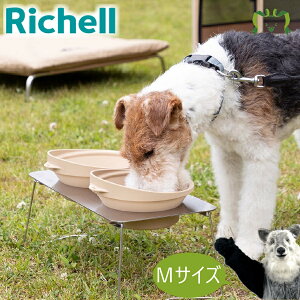 }[N^X |[^u fBbVX^h Mb`F He/590mlEhCt[h260g ^ ^ ܂肽ݎ ybgH HZbg s o hbO h ЊQ 