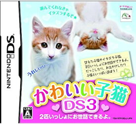 楽天市場 かわいい子猫ds3の通販 楽天市場 かわいい子猫ds3の通販
