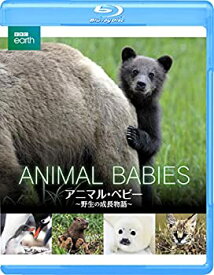 【中古】BBC earth アニマル・ベビー ~野生の成長物語~ [Blu-ray]