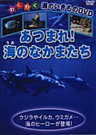 【中古】あつまれ!海のなかまたち [DVD]