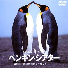 楽天市場 ペンギン Tvアニメ アニメ Dvd Cd Dvdの通販