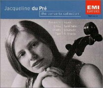 楽天市場】富澤商店コンチェルトの通販 