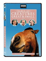 楽天市場】ビッグ・コンボ [DVD]の通販 
