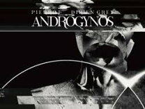 楽天市場】androgynous（Blu-ray｜CD・DVD）の通販 