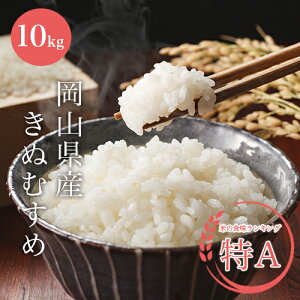 令和6年産 きぬむすめ 白米 10kg 【岡山県産】【送料無料】★北海道、沖縄県、一部離島へのお届けは承っておりません。