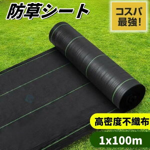 hV[g1m×100m _pV[g 悯V[g Gh~ ϗpN 2-3N 0.5mm hV[gE  lHŉ ؉  Gʐ  Y GV[g x ϋvsDz V[