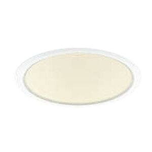 �R�C�Y�~�Ɩ� LED�_�E�����C�g M�` �R���t�H�[�g 100W���� �g�U ��100 �d���F(2700K)�FAD53319 �d���F(3000K)�FAD53338 �����F�FAD53339 ���F�FAD53344�yDL�z