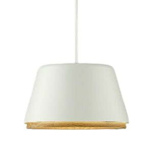 KOIZUMI(�R�C�Y�~�Ɩ�)�y�H���K�v�zLED�y���_���gA-pendant�y���M��100W�����zAP45514L�yPD�z