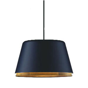 KOIZUMI(RCY~Ɩ)yHKvzLEDy_gA-pendantyM100WzAP45515LyPDz