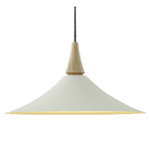 �R�C�Y�~�Ɩ�LED�y���_���g���C�g 100W���������F �}�b�g�t�@�C���z���C�g�d���F:AP54860�����F:AP54863