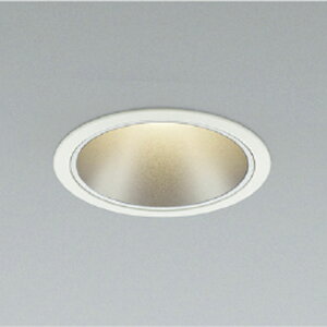 �R�C�Y�~�Ɩ�LED�_�E�����C�g FHT32W×2������100�z���C�g3000K�d���F�FAD58291