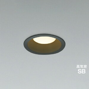 �R�C�Y�~�Ɩ�LED�_�E�����C�g ���C��SB�` �h�J�h���^���M��100W���� ���� ���ω� ��100 �u���b�N2700K �d���F�FAD7351B27