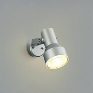 RCY~ƖGNXeALEDX|bgCg hJ^r[150W 񒲌 Vo[^bN2700K dFFAU57436