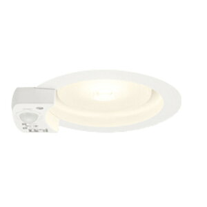 I[fbN LED_ECg SB` FGX53-1 񒲌 lZT[ 100 M100W~fBAz dFItzCg:OD361411MLR