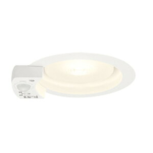 I[fbN LED_ECg SB` FGX53-1 񒲌 lZT[ 100 M60W~fBAz dFItzCg:OD361413MLR