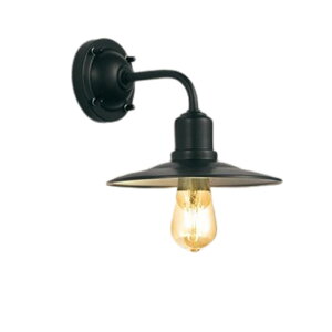 �I�[�f���b�N�G�N�X�e���A LED�|�[�`���C�g�h�J�^ 30W�������F �d���F�FOG254771LC1