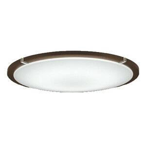 ODELIC(I[fbN)LEDV[OCgR15FLEDyKpF`10zEF^Cv/BluetoothΉOL251120BCRyCLz