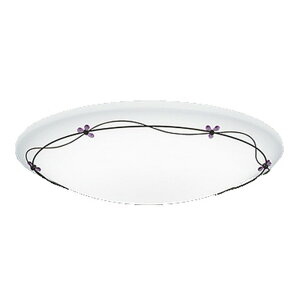 ODELIC(I[fbN)LEDV[OCgR15FLEDyKpF`10zEF^Cv/BluetoothΉOL251209BCRyCLz