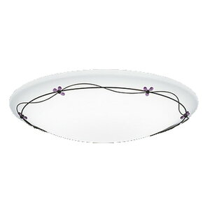 ODELIC(I[fbN)LEDV[OCgR15FLEDyKpF`12zEF^Cv/BluetoothΉOL251451BCRyCLz