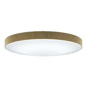 ODELIC(I[fbN)LEDV[OCgR15FLEDyKpF`10zEF^Cv/BluetoothΉOL251673BCRyCLz