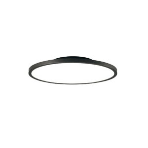 �I�[�f���b�NLED�V�[�����O���C�g���� ���F Bluetooth �����R���t���F �d���F�`�����F�`12��FOL291619BR�`8��FOL291620BR