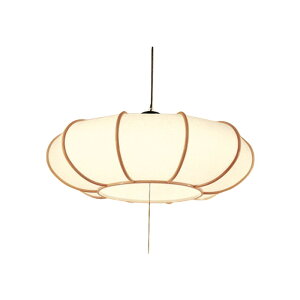 �I�[�f���b�N�a��LED�y���_���g���C�g�����F�`8�������E���F�����R���tOP252402R�yPD�z