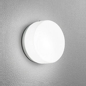 �I�[�f���b�N�G�N�X�e���A LED�|�[�`���C�g�h�J�^ ���M��60W���� �}�b�g�V���o�[�F�����F�FOG254977NCR
