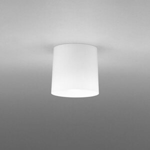 �I�[�f���b�NLED�V�[�����O�񒲌� ���M��60W���������F�FOL013006NR