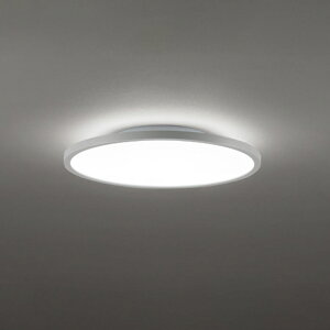 �I�[�f���b�N LED�V�[�����O���C�g �`12�� ���C�g�O���[�F OL291808BR