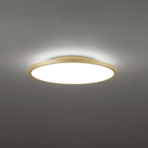 �I�[�f���b�N LED�V�[�����O���C�g �`8�� �T�e���S�[���h�F OL291811BR