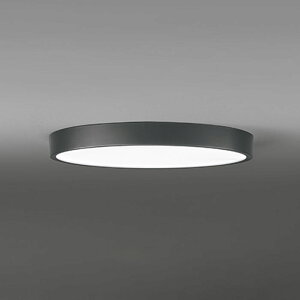 �I�[�f���b�N LED�V�[�����O���C�g �`12�� ���F OL291833BR