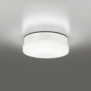 �I�[�f���b�N�G�N�X�e���A LED�|�[�`���C�g�h�J�E�h���^ FCL20W���� ���F�����F�FOW269041NR